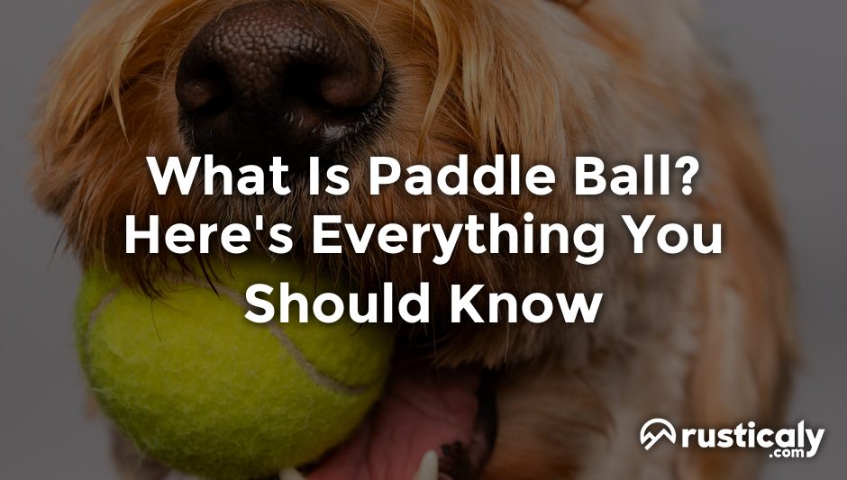 what is paddle ball