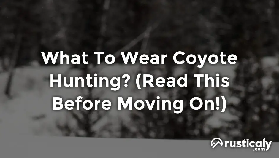 what to wear coyote hunting