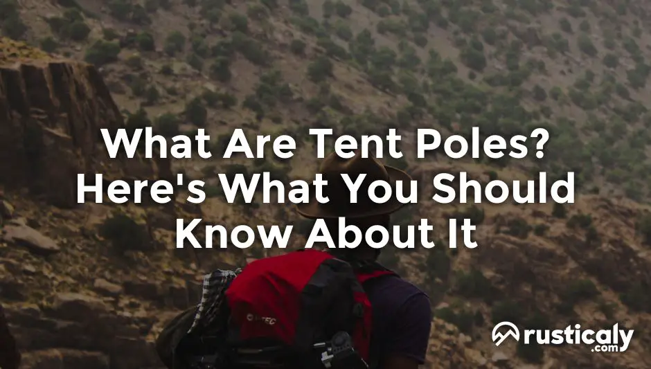 what are tent poles