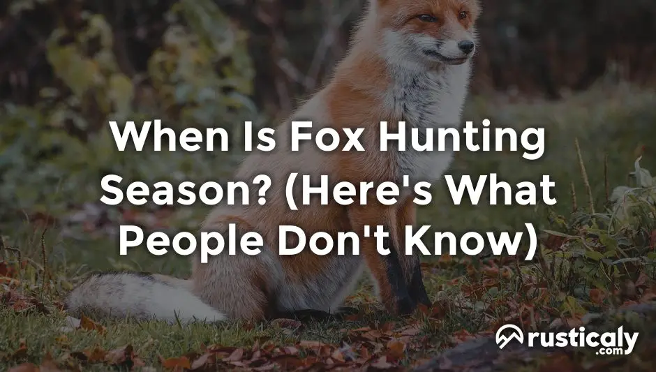 when is fox hunting season