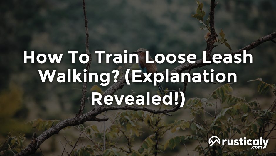 how to train loose leash walking