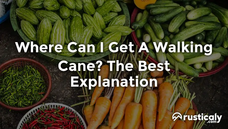 where can i get a walking cane