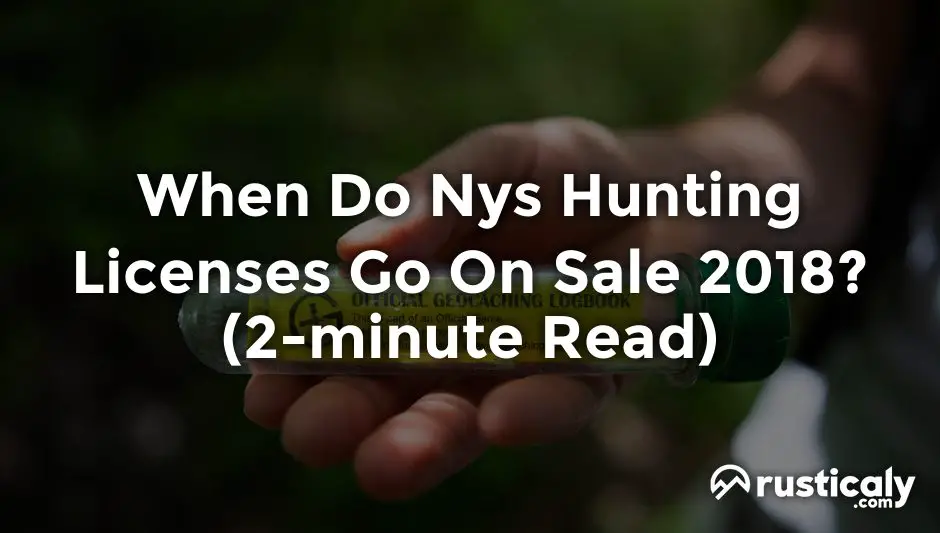 when do nys hunting licenses go on sale 2018
