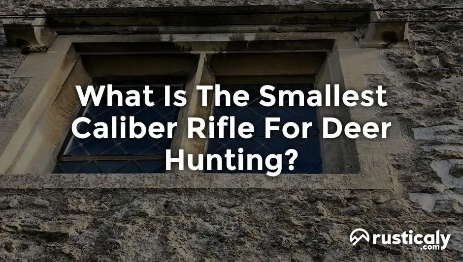 what is the smallest caliber rifle for deer hunting