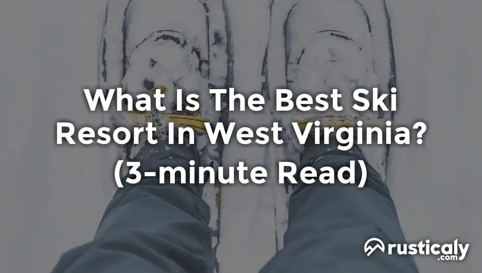 what is the best ski resort in west virginia