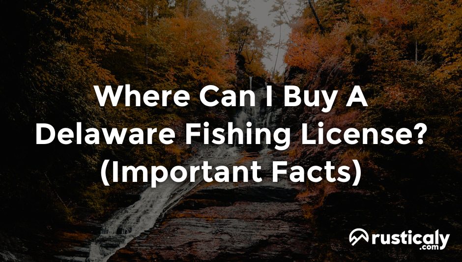 where can i buy a delaware fishing license