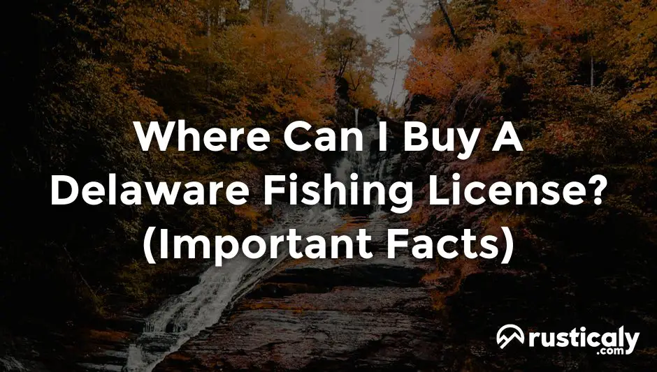 Where Can I Buy A Delaware Fishing License? (Important Facts)