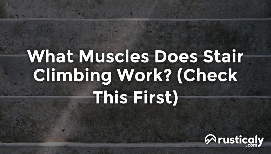 what muscles does stair climbing work
