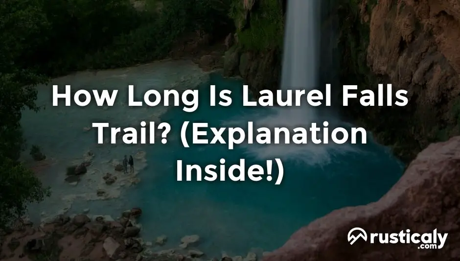 how long is laurel falls trail