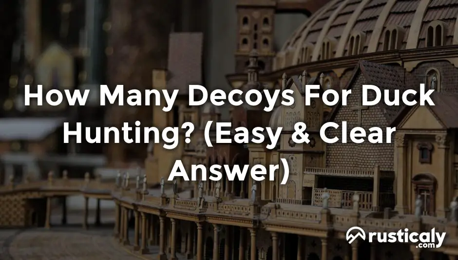 how many decoys for duck hunting