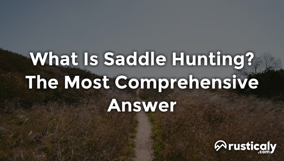 what is saddle hunting