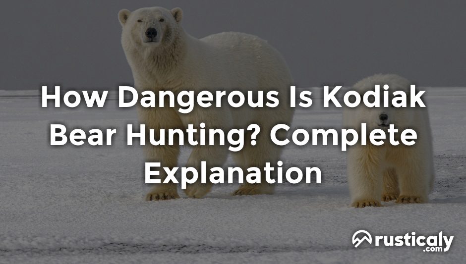 how dangerous is kodiak bear hunting