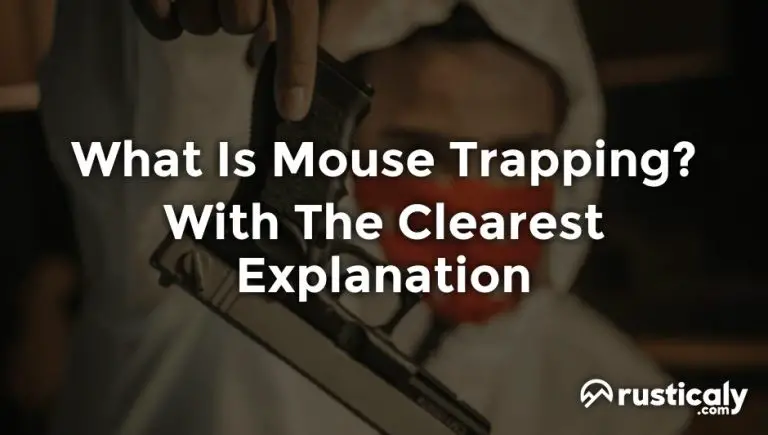 what is mouse trapping
