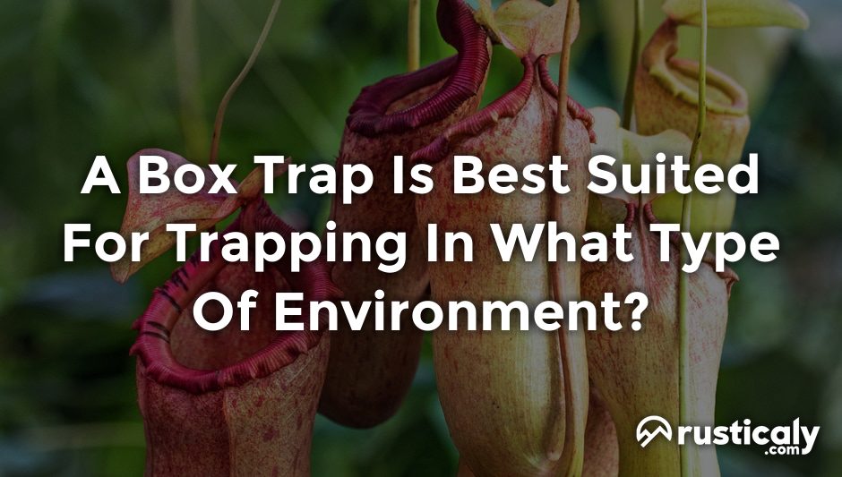 a box trap is best suited for trapping in what type of environment?