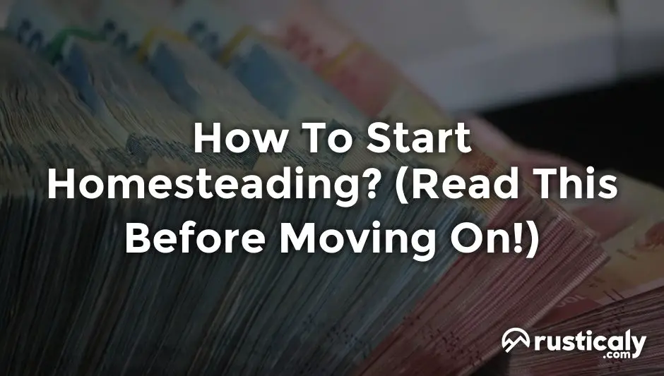 how to start homesteading