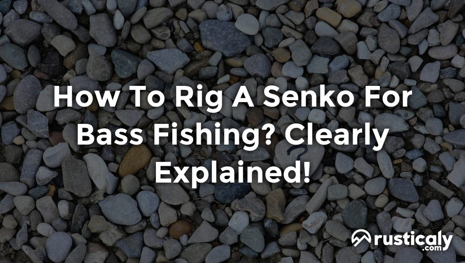 how to rig a senko for bass fishing