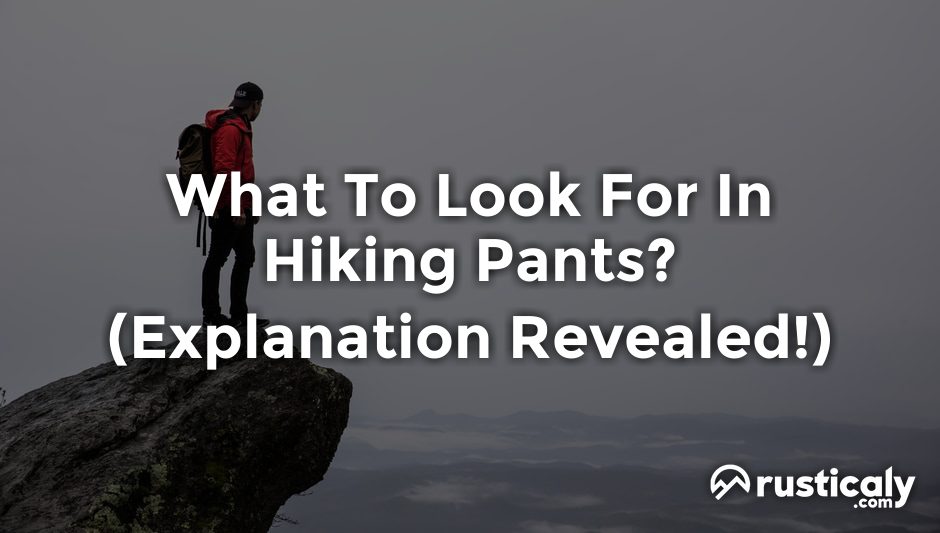 what to look for in hiking pants