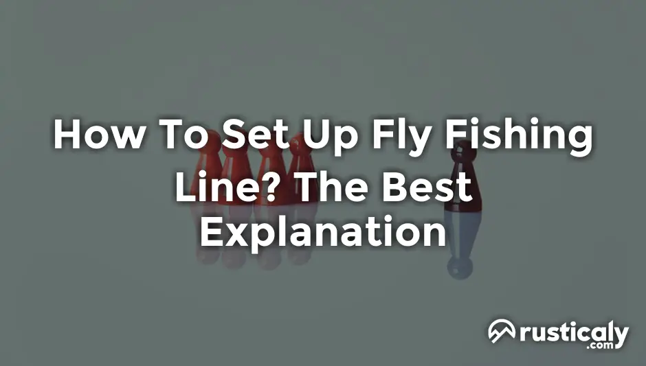How To Set Up Fly Fishing Line? (Explained for Beginners)