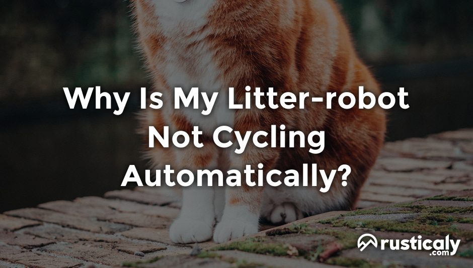 why is my litter-robot not cycling automatically