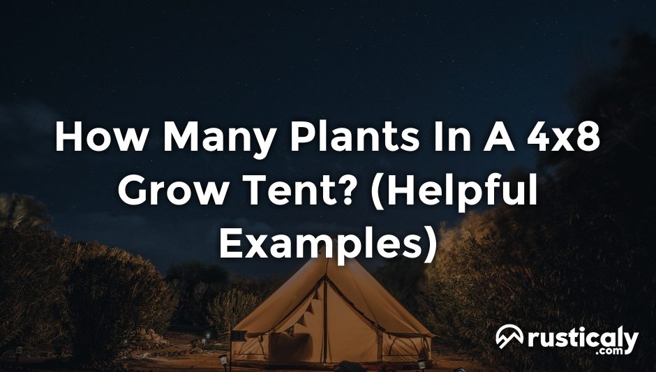 how many plants in a 4x8 grow tent