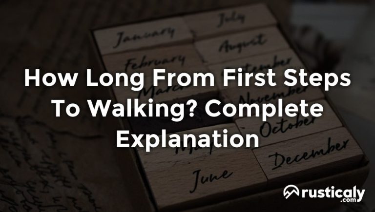 how-long-from-first-steps-to-walking-finally-understand