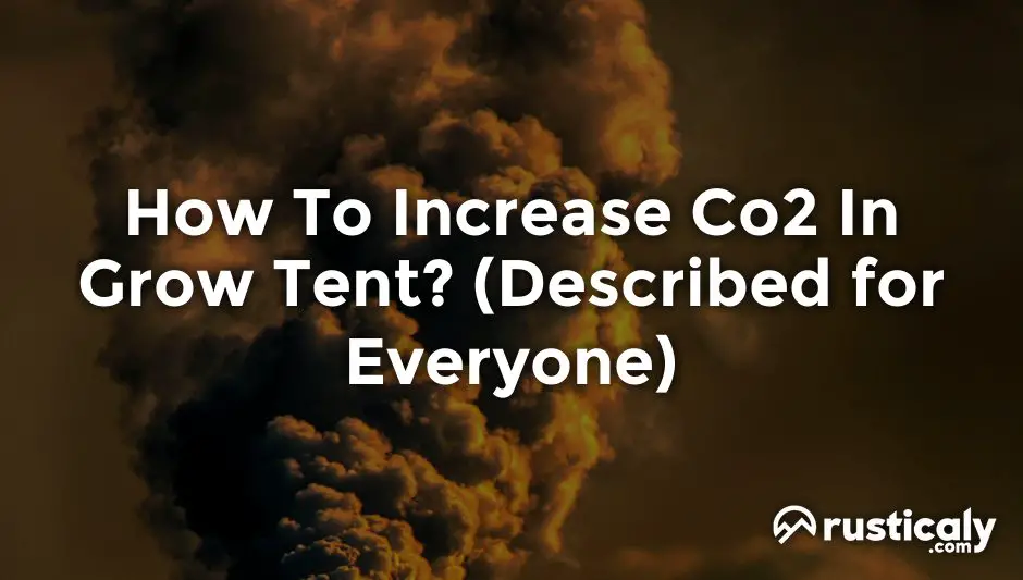 how to increase co2 in grow tent