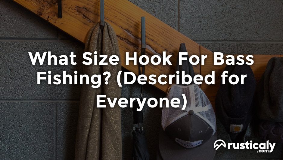 what size hook for bass fishing