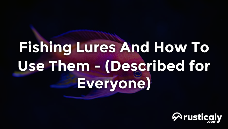 fishing lures and how to use them