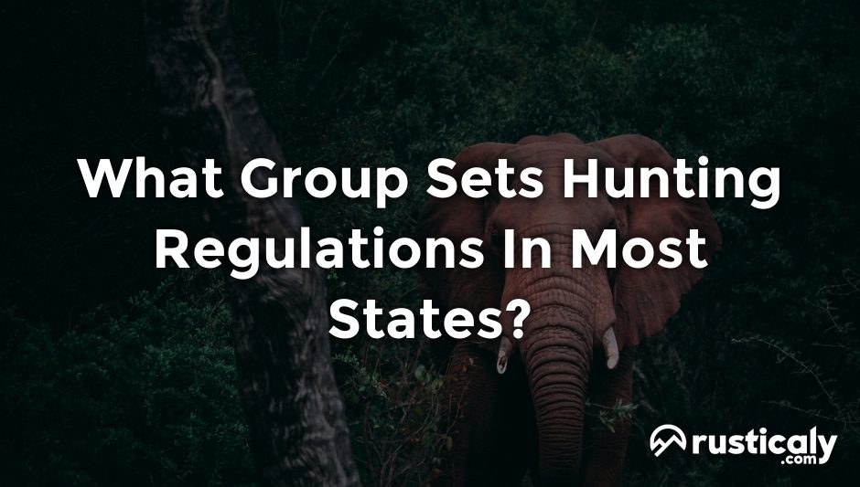 what group sets hunting regulations in most states?