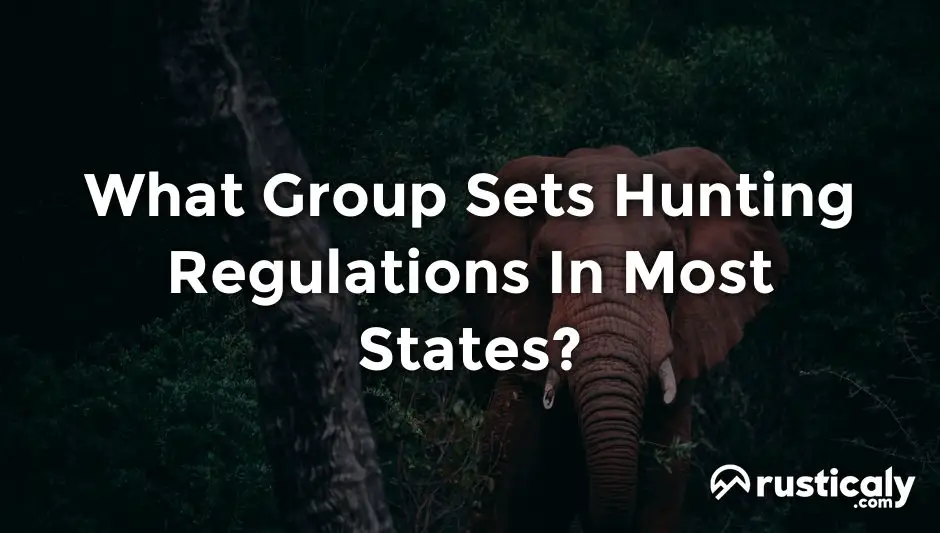 what group sets hunting regulations in most states?