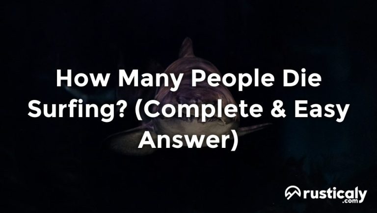 how many people die surfing