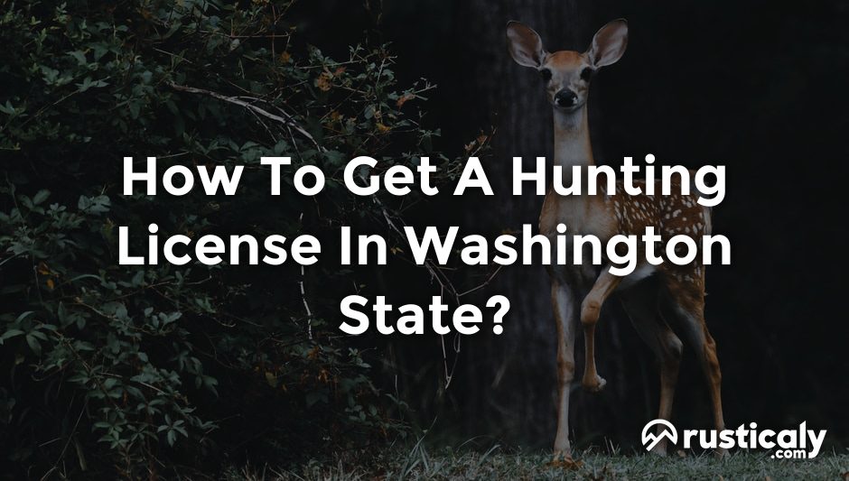 how to get a hunting license in washington state