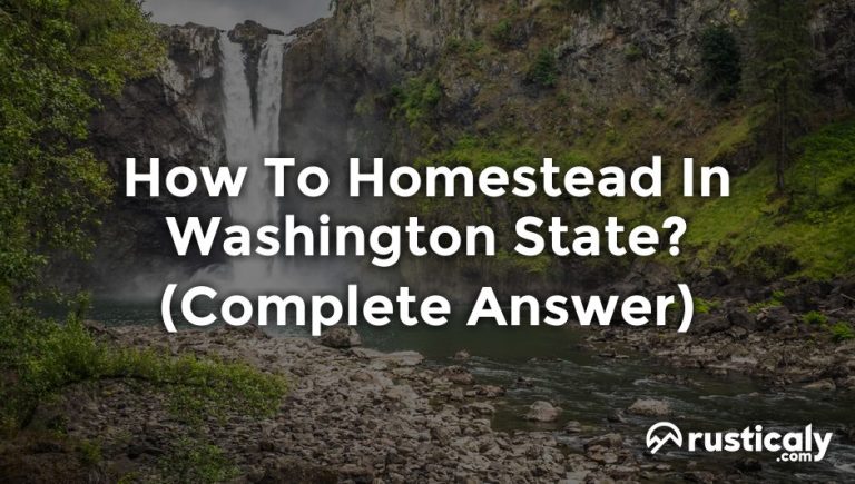 how to homestead in washington state