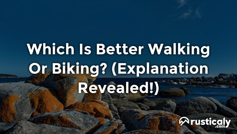 which is better walking or biking