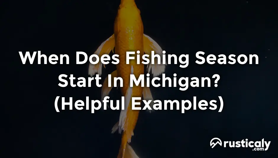 when does fishing season start in michigan