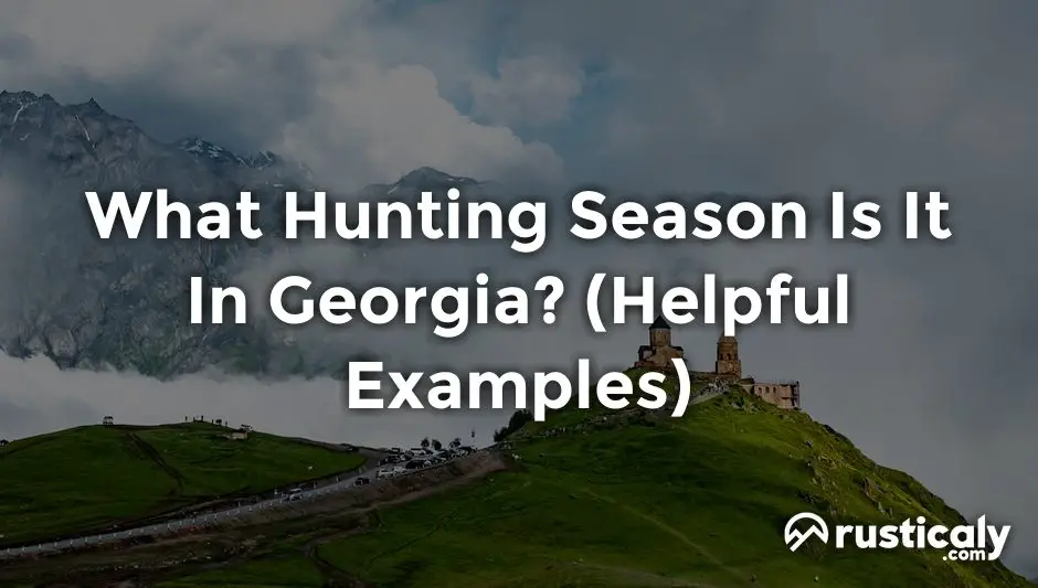 what hunting season is it in georgia