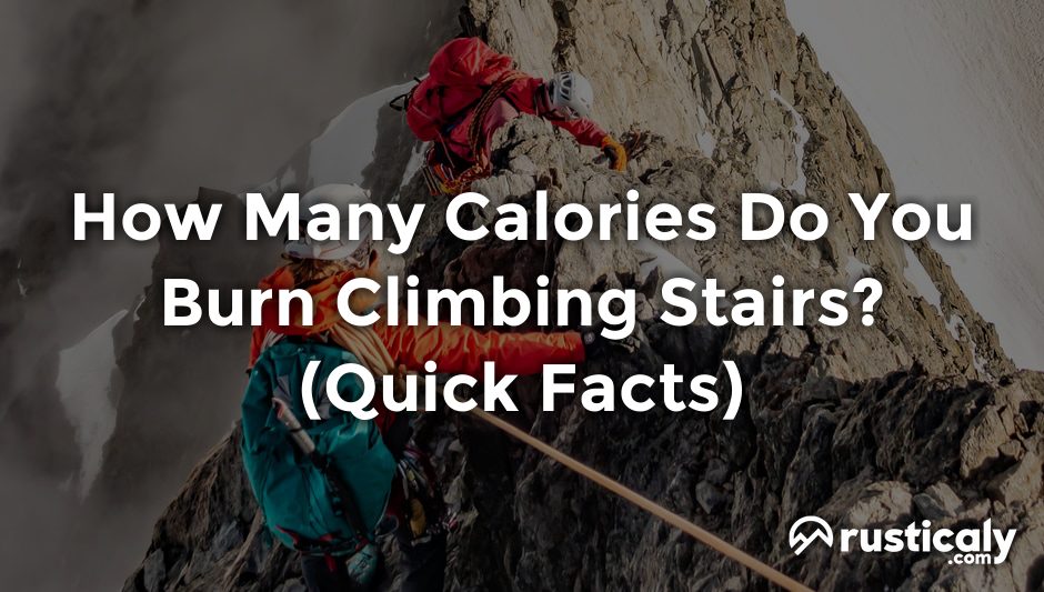 how many calories do you burn climbing stairs