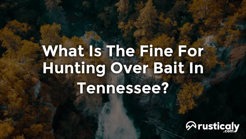 what is the fine for hunting over bait in tennessee