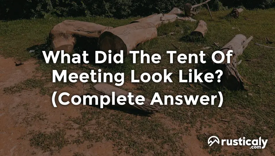 what did the tent of meeting look like