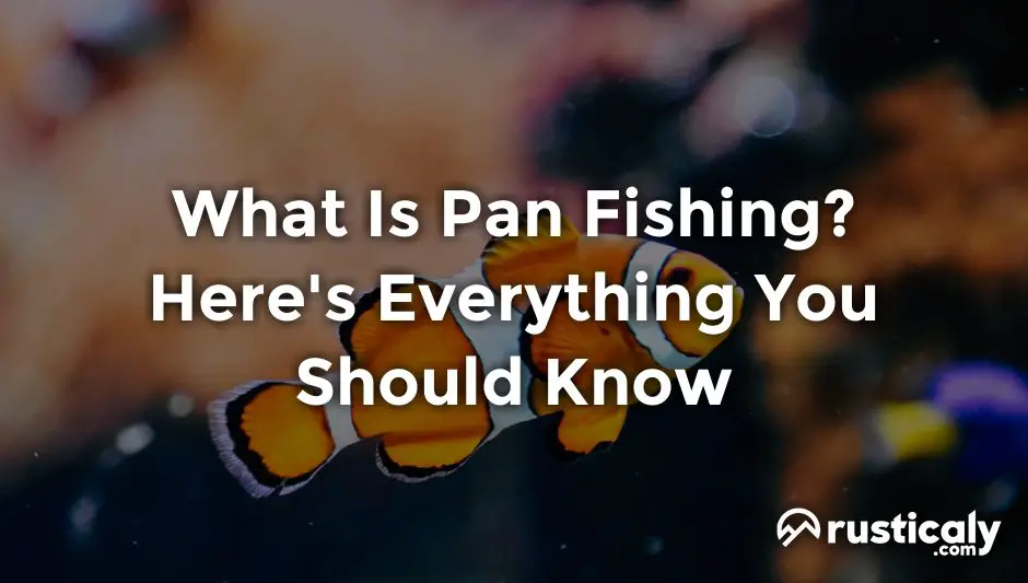 what is pan fishing