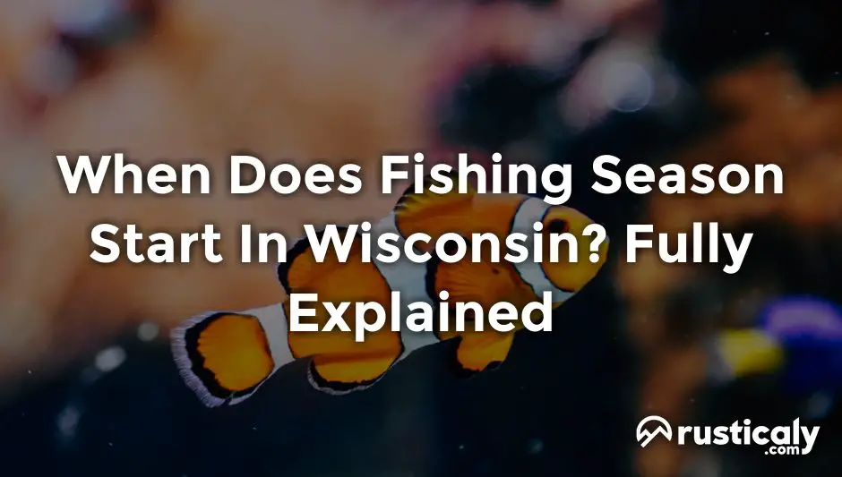 when does fishing season start in wisconsin