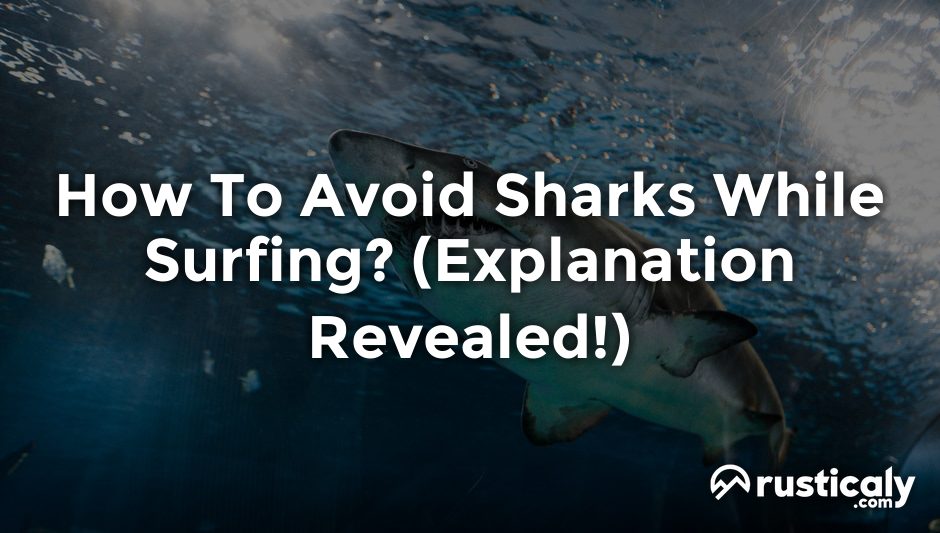 how to avoid sharks while surfing