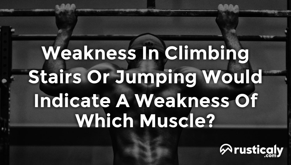 weakness in climbing stairs or jumping would indicate a weakness of which muscle?