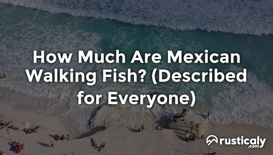 how much are mexican walking fish