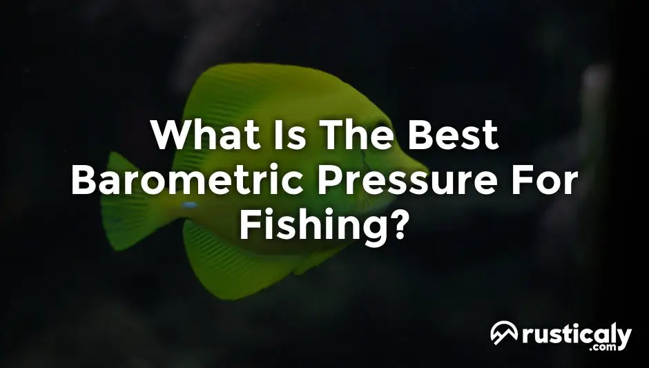 what is the best barometric pressure for fishing