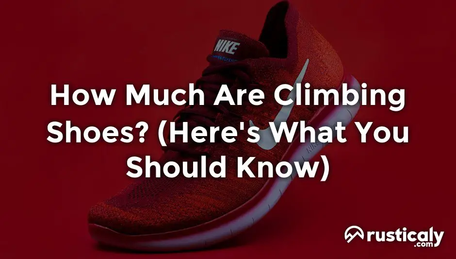 how much are climbing shoes