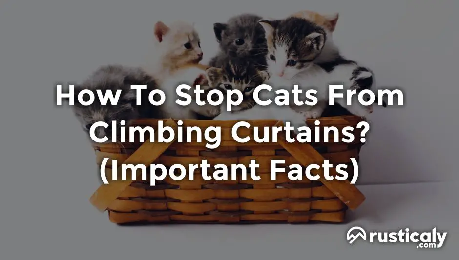 how to stop cats from climbing curtains