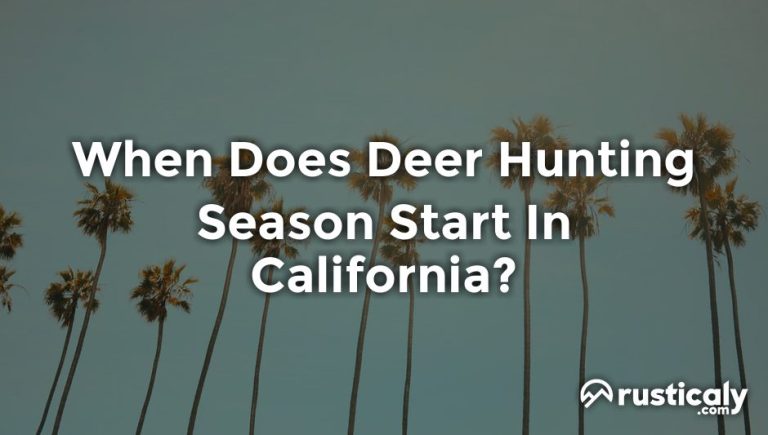 When Does Deer Hunting Season Start In California?