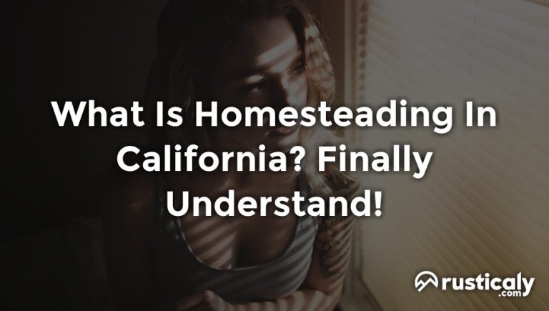 what is homesteading in california