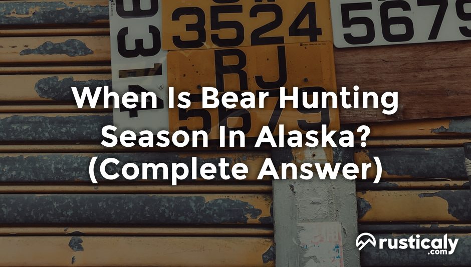 when is bear hunting season in alaska